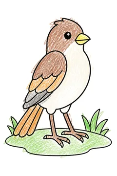 Colored example 1
