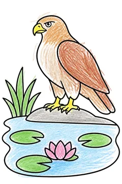 Colored example 2