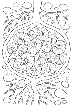 Ant Larvae in the Nest line art