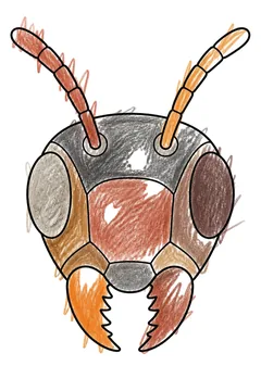 Colored example 1