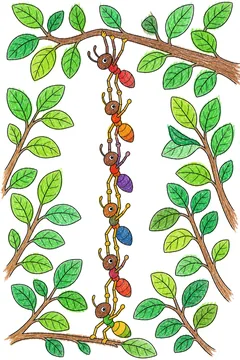 Colored example 1
