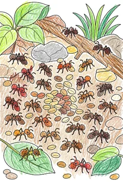 Colored example 1