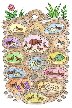 Colored example 1