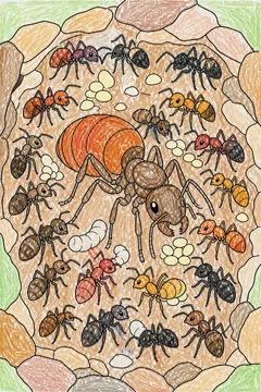 Colored example 2