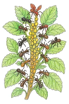 Colored example 2