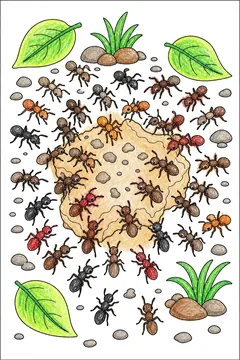 Colored example 3