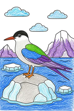 Colored example 2
