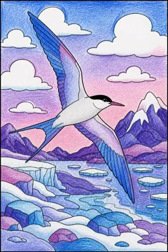 Colored example 2