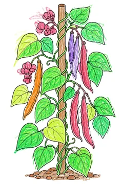 Colored example 1