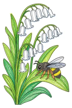 Colored example 2