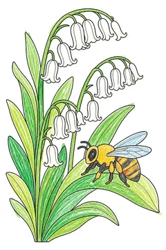 Colored example 3