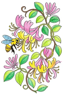 Colored example 3