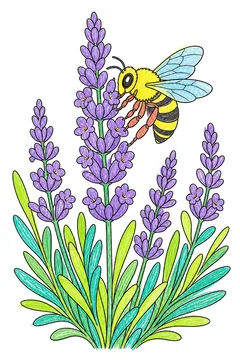 Colored example 3