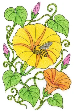 Colored example 3