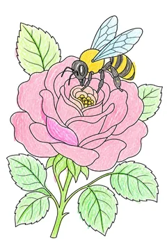 Colored example 2