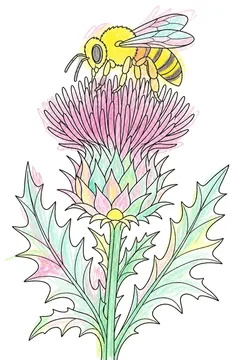 Colored example 1