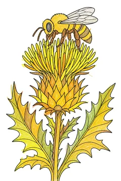 Colored example 3