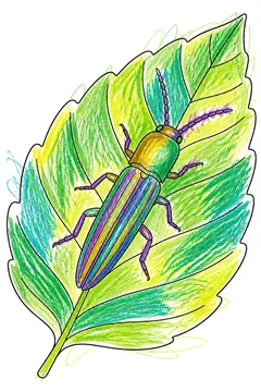 Colored example 1