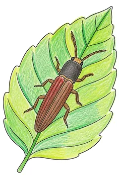 Colored example 2