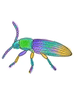 Colored example 1