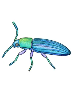 Colored example 3