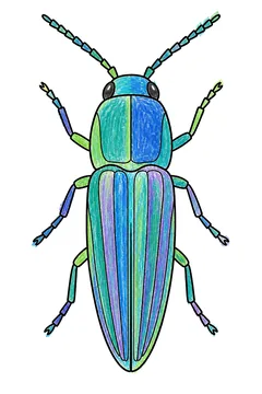 Colored example 3