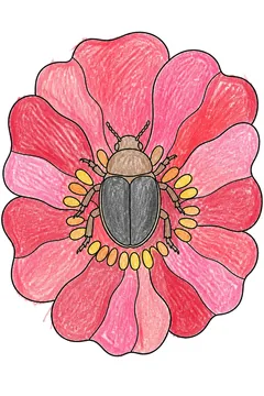 Colored example 3