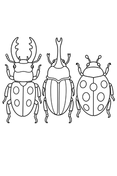 Row of Three Beetles line art