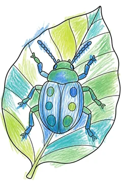 Colored example 1