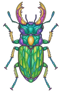 Colored example 3