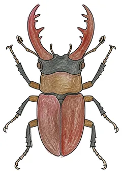 Colored example 3