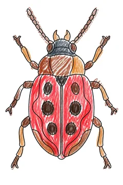 Colored example 1