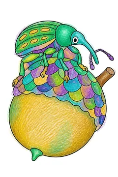 Colored example 2