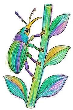 Colored example 1