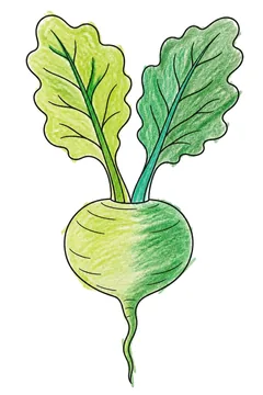 Colored example 2
