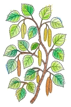 Colored example 1