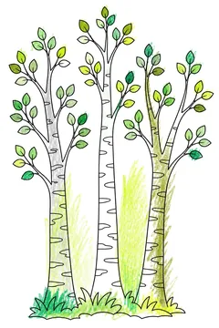 Colored example 1