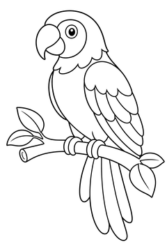 Parrot line art