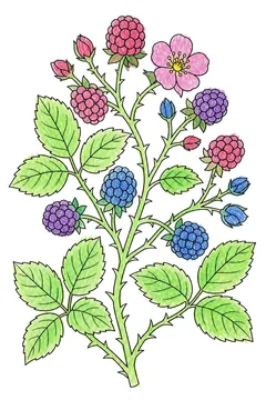 Colored example 2