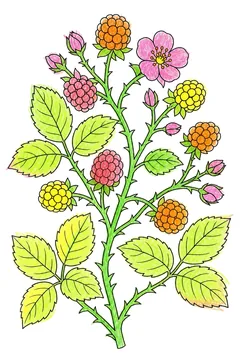 Colored example 3