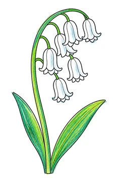 Colored example 2