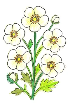 Colored example 1