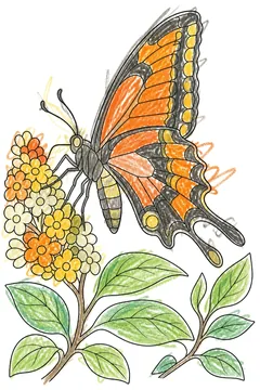 Colored example 1