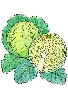 Colored example 2