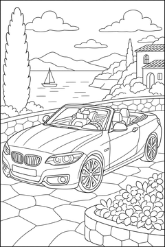 Detailed Convertible line art