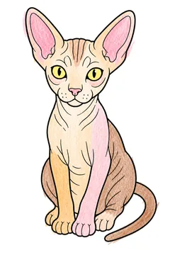 Colored example 2