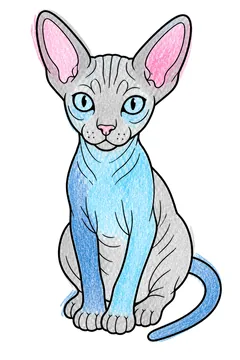 Colored example 3
