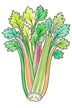 Colored example 1