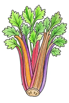 Colored example 3