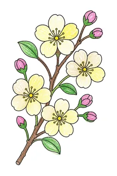 Colored example 3